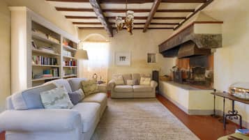TV, fireplace, books