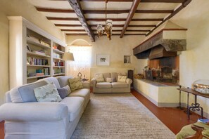 TV, fireplace, books