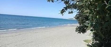 Beach nearby, sun loungers
