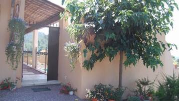 DĂ©tail de lâextĂ©rieur