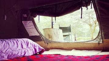 Lều Tiêu chuẩn (Cosy Camper - Trio) | Giường gấp/giường phụ (phụ phí), bộ trải giường