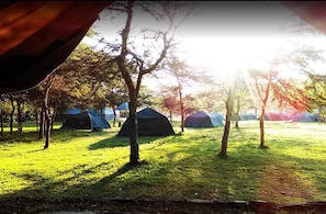 Exterior - She'gadia Campsite (Naivasha)