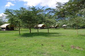 Comfort Tent (Hippo Hob - Quatro) - She'gadia Campsite (Naivasha)