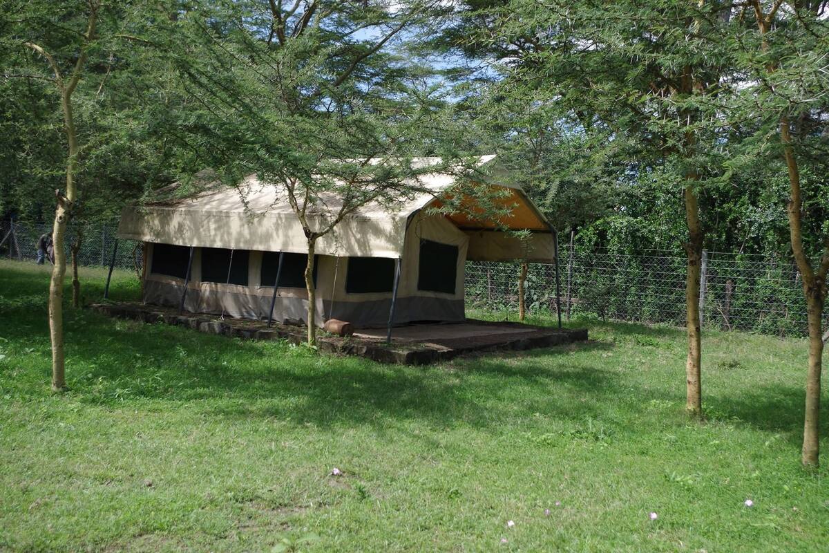 Lều Tiêu chuẩn (Cosy Camper - Couple) | Giường gấp/giường phụ (phụ phí), bộ trải giường 