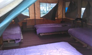 Comfort Tent (Hippo Hob - Quatro) - She'gadia Campsite (Naivasha)