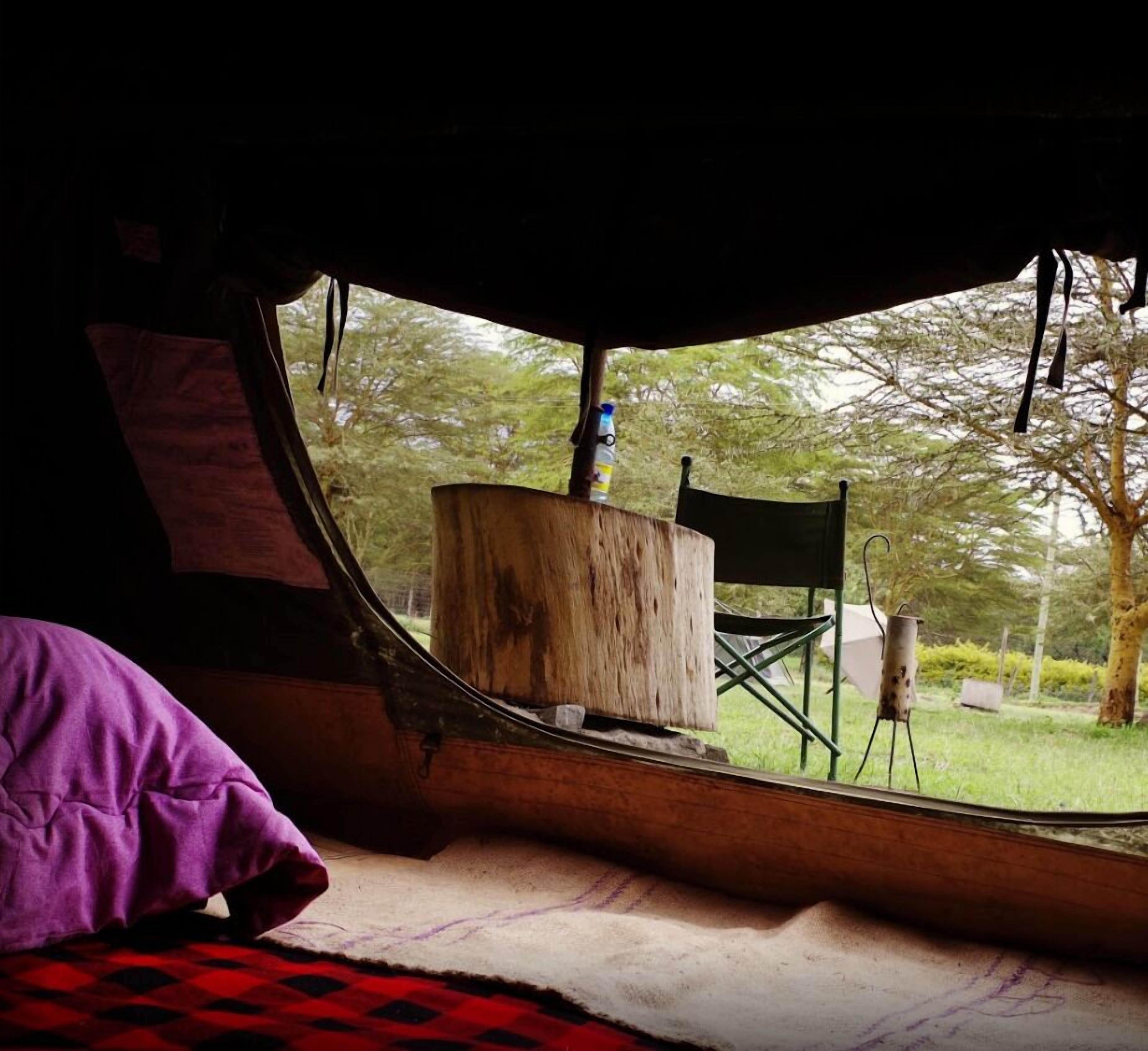 Standard Tent (Cosy Camper - Trio) | View from room