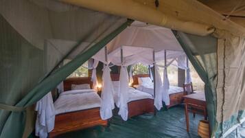 Family Tent | Desk, bed sheets