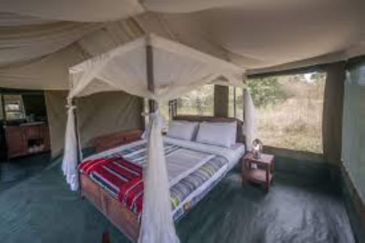 Luxury Tent