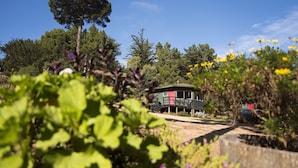 Une cabane à l’extérieur rouge et au toit vert, entourée d’arbres et de végétation.