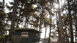 Une petite cabane dotée d’une terrasse, entourée de grands arbres.