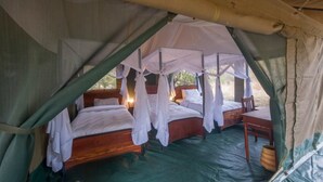 Luxury Tent, 3 Twin Beds | Desk, bed sheets - Acacia Migration Camp Ndutu (Ngorongoro)