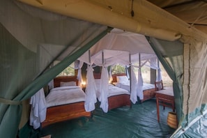 Tenda Luxury, 3 letti singoli | Una scrivania, lenzuola