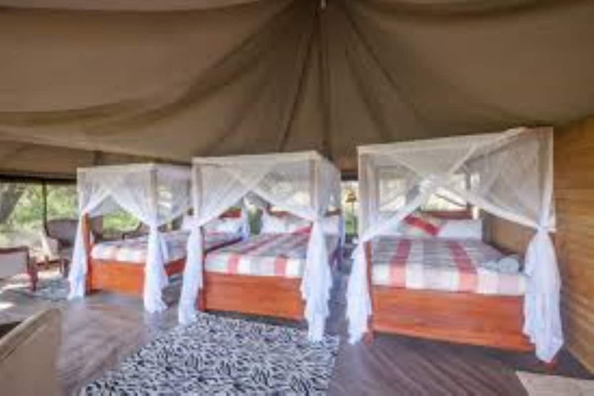 Luxury-Zelt, 3 Einzelbetten, Nichtraucher | Schreibtisch, Bettwäsche