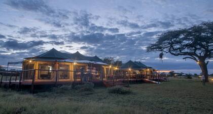 Acacia Seronera Luxury Camp