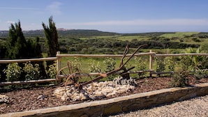 Un paisaje rural con un muro de piedra, una valla de madera y vegetación dispersa.
