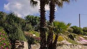 Un jardín con palmeras, un muro de piedra y diversas plantas con flores.