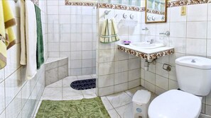 Shower, bidet, towels