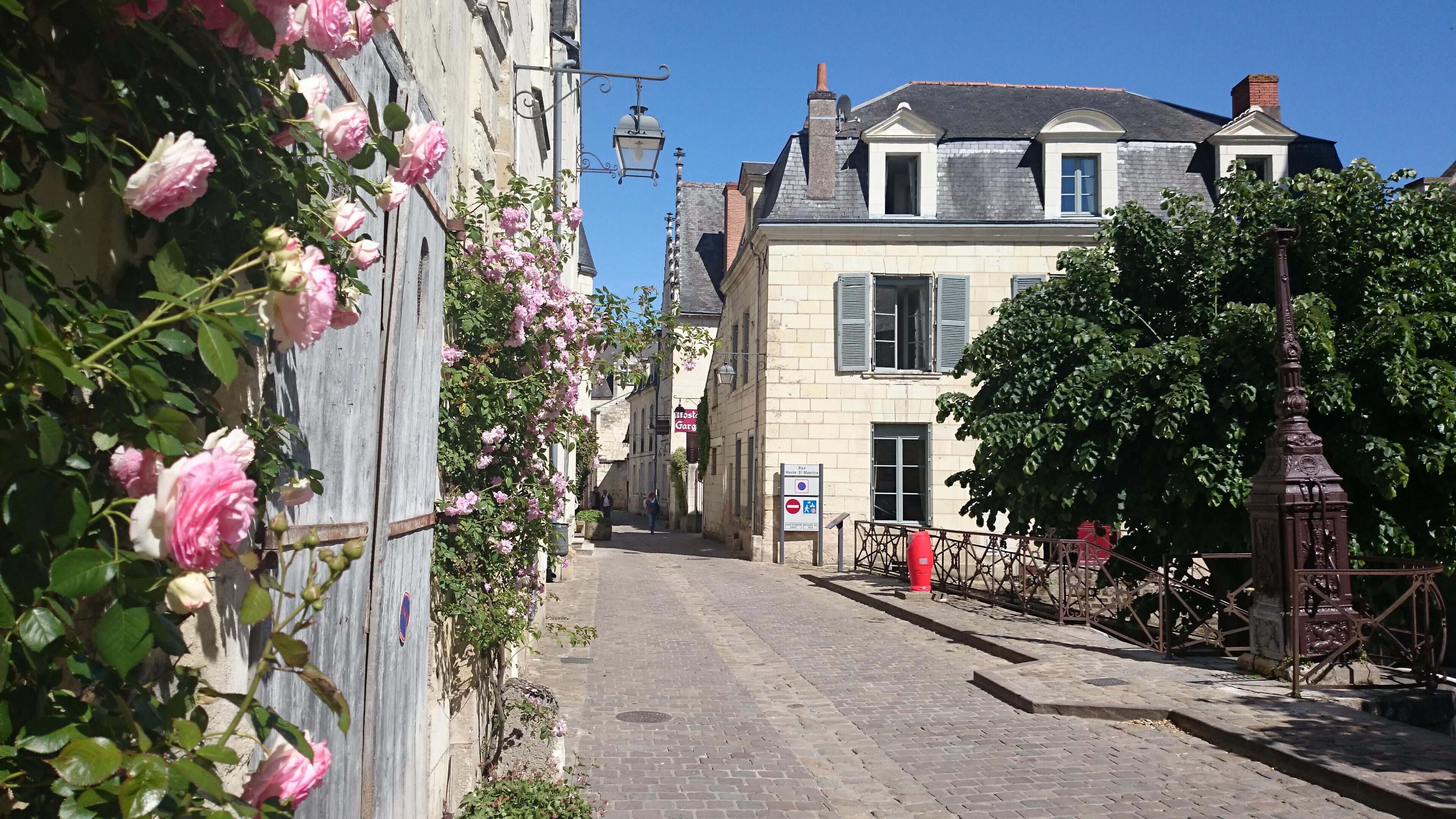 Una calle adoquinada bordeada por edificios históricos, una cerca de hierro forjado y rosas rosadas en flor.