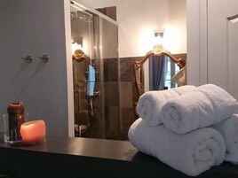 Apartamento Premium, baño privado, vistas a la ciudad (CHAMBORD) | Baño