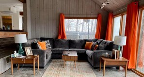 Televisión, chimenea, videojuegos y reproductor de DVD 