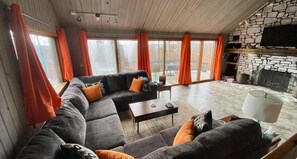 Televisión, chimenea, videojuegos y reproductor de DVD 