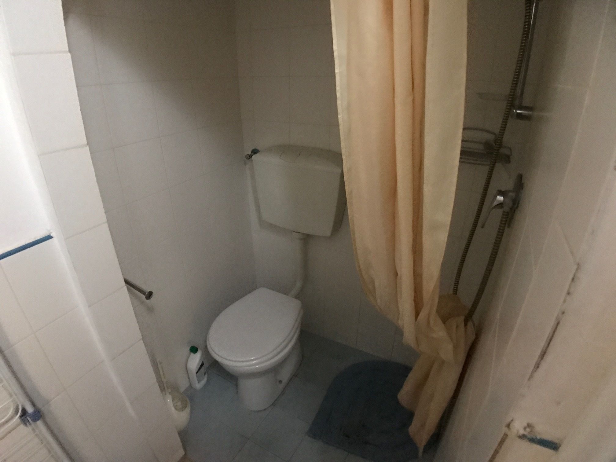 A small, basic bathroom with a toilet, a shower, and a curtain.