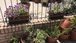 Un balcon agrémenté de plantes et de fleurs en pot, un mur de briques et une rambarde en métal.