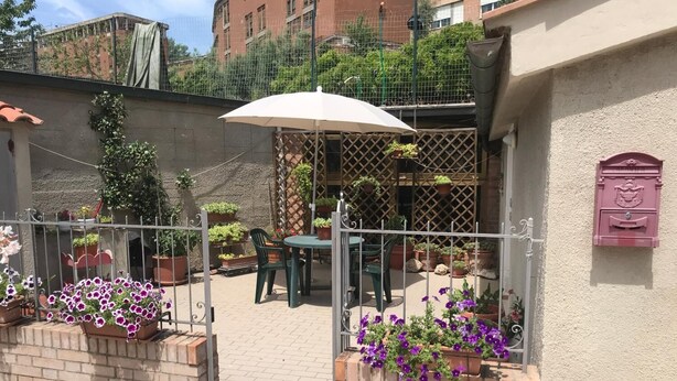 Un espace patio aménagé avec une table et des chaises, entouré de plantes en pot et agrémenté d’un parasol blanc.