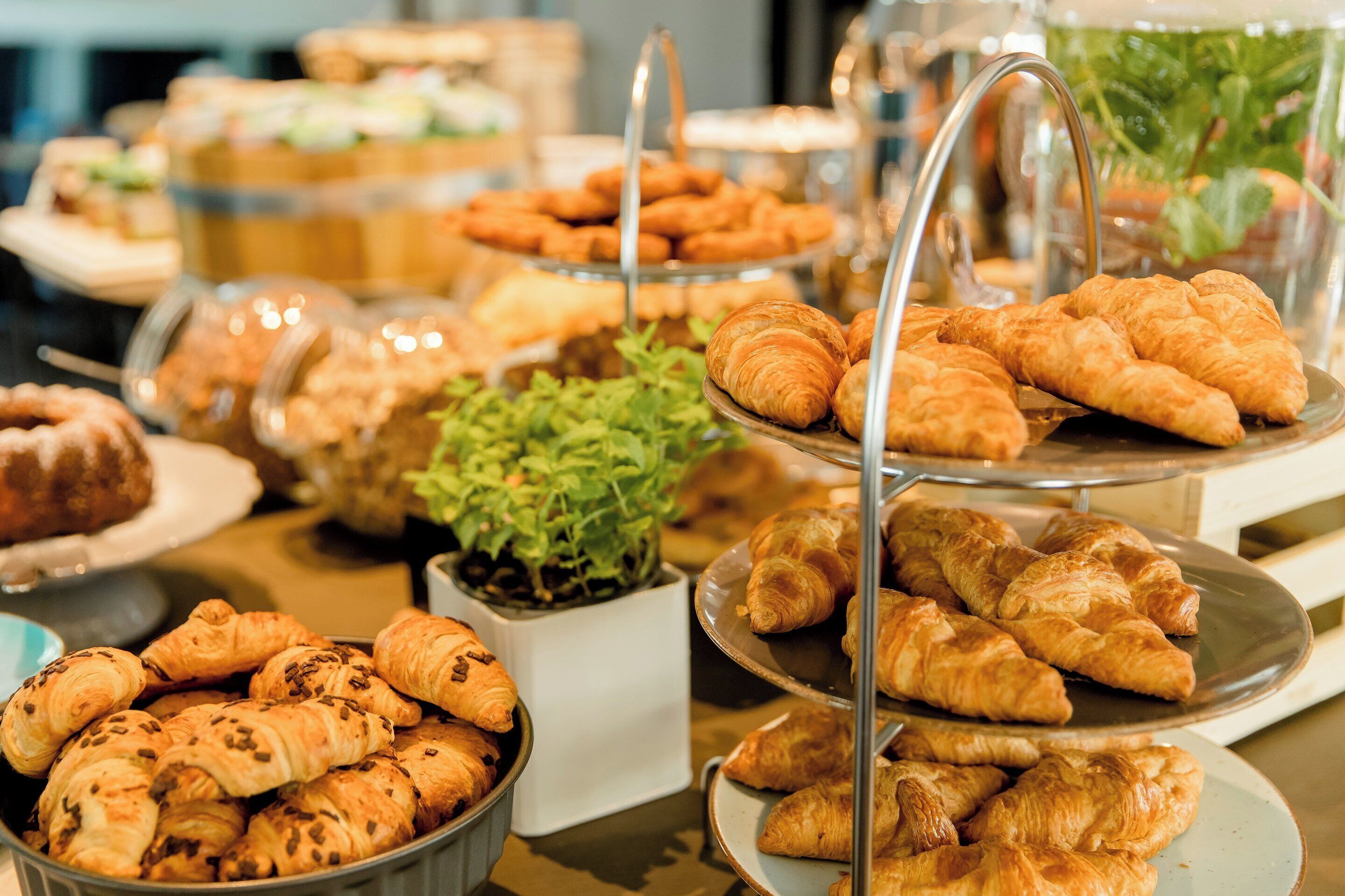 daily continental breakfast for a fee