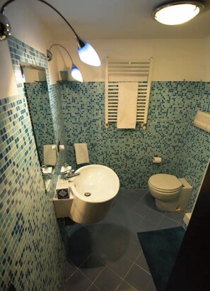 Bañera con ducha, secador de pelo, bidet, toallas