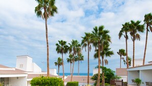 A courtyard with palm trees, a cactus garden, and a stone pathway leading to a building with a tiled roof. - Bungalows Side Shore (San Bartolome de Tirajana)