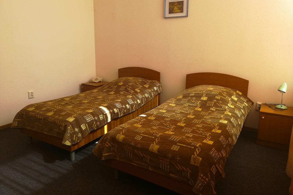 Standaard Twin kamer, 1 slaapkamer | Een bureau, geluiddichte muren, een strijkplank/strijkijzer, babybedden