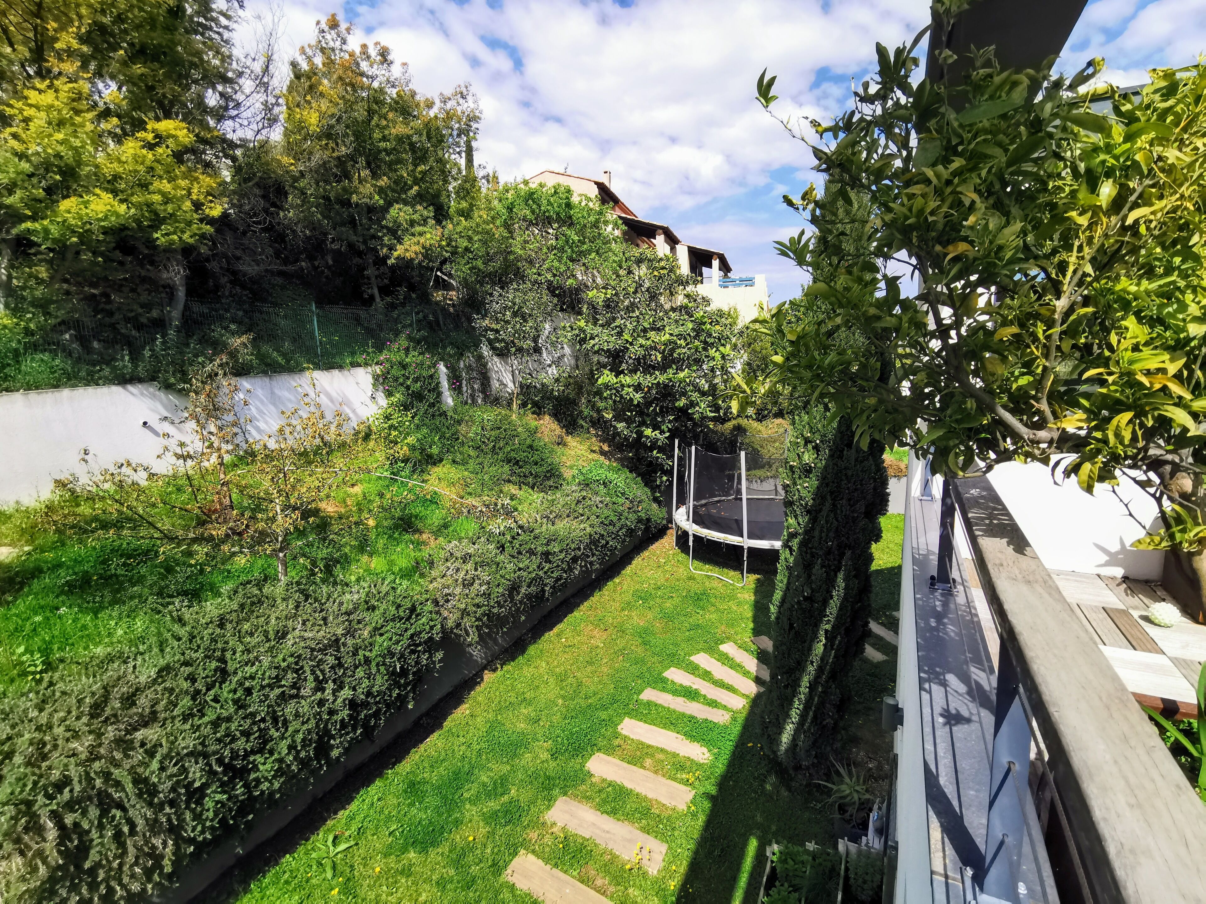 A well-maintained garden with a trampoline, a white wall, and a variety of greenery.