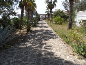 Terrein van de accommodatie