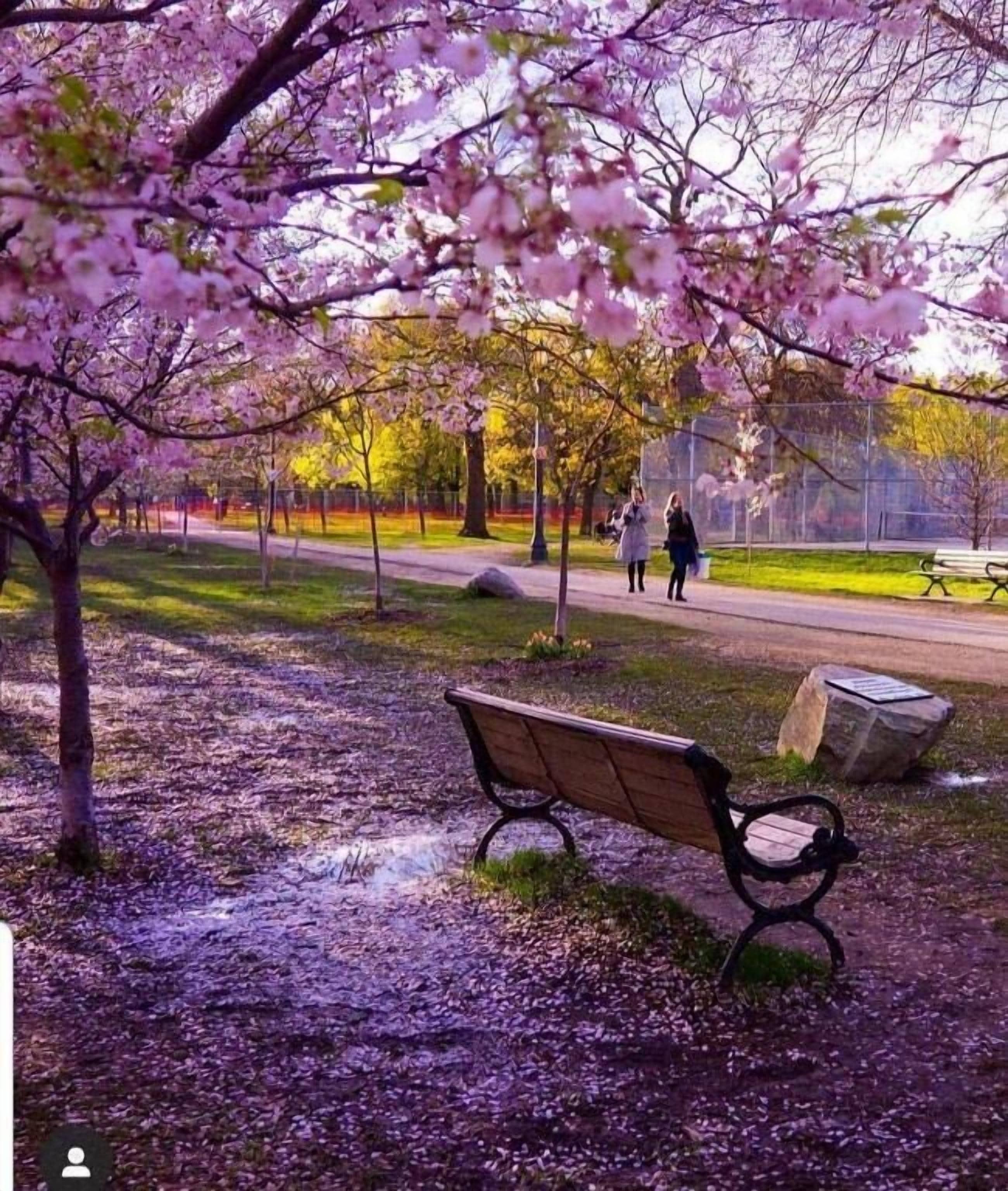 Foto - The Sunshine House-Free Parking