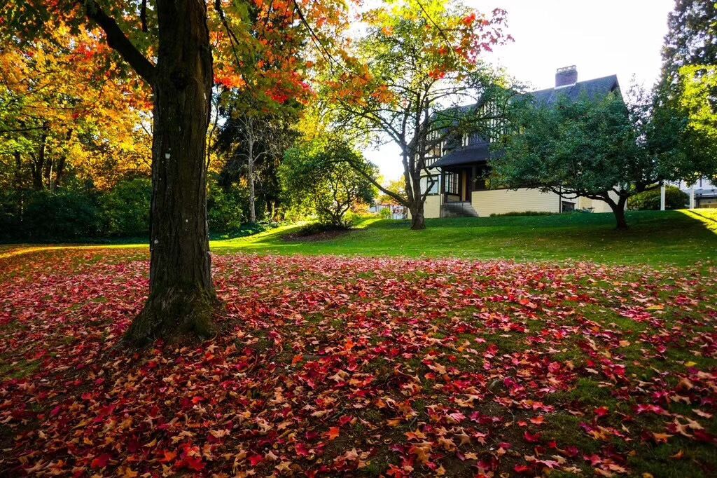 Dagelijks Engels ontbijt inbegrepen