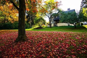 Desayuno inglés incluido todos los días 