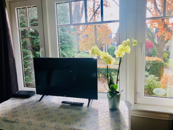 Un televisor sobre una mesa con un control remoto, una orquídea en maceta y una ventana con follaje otoñal.