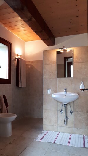Een douche, een haardroger, een bidet, handdoeken