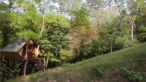 Una casa del árbol de madera con una escalera, rodeada de un bosque denso.