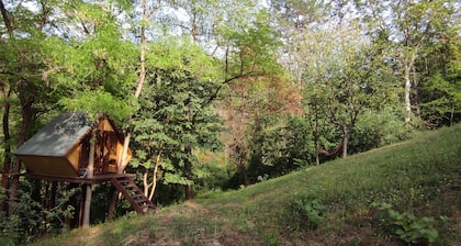 La Casetta, casa romántica con piscina (Bolonia, Rávena, Florencia)