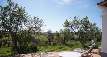 A COTTAGE IN THE LAGOS COUNTRYSIDE