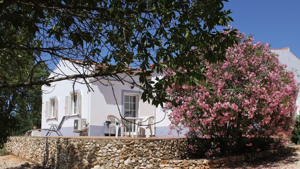 A white house with a stone wall, outdoor seating, and a flowering tree.