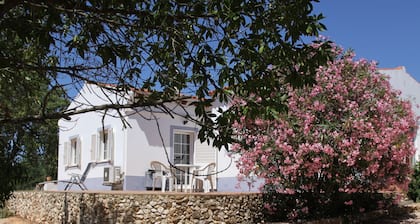 A COTTAGE IN THE LAGOS COUNTRYSIDE