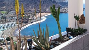 Un balcone con vista su un paesaggio costiero, con piante di cactus e aloe.