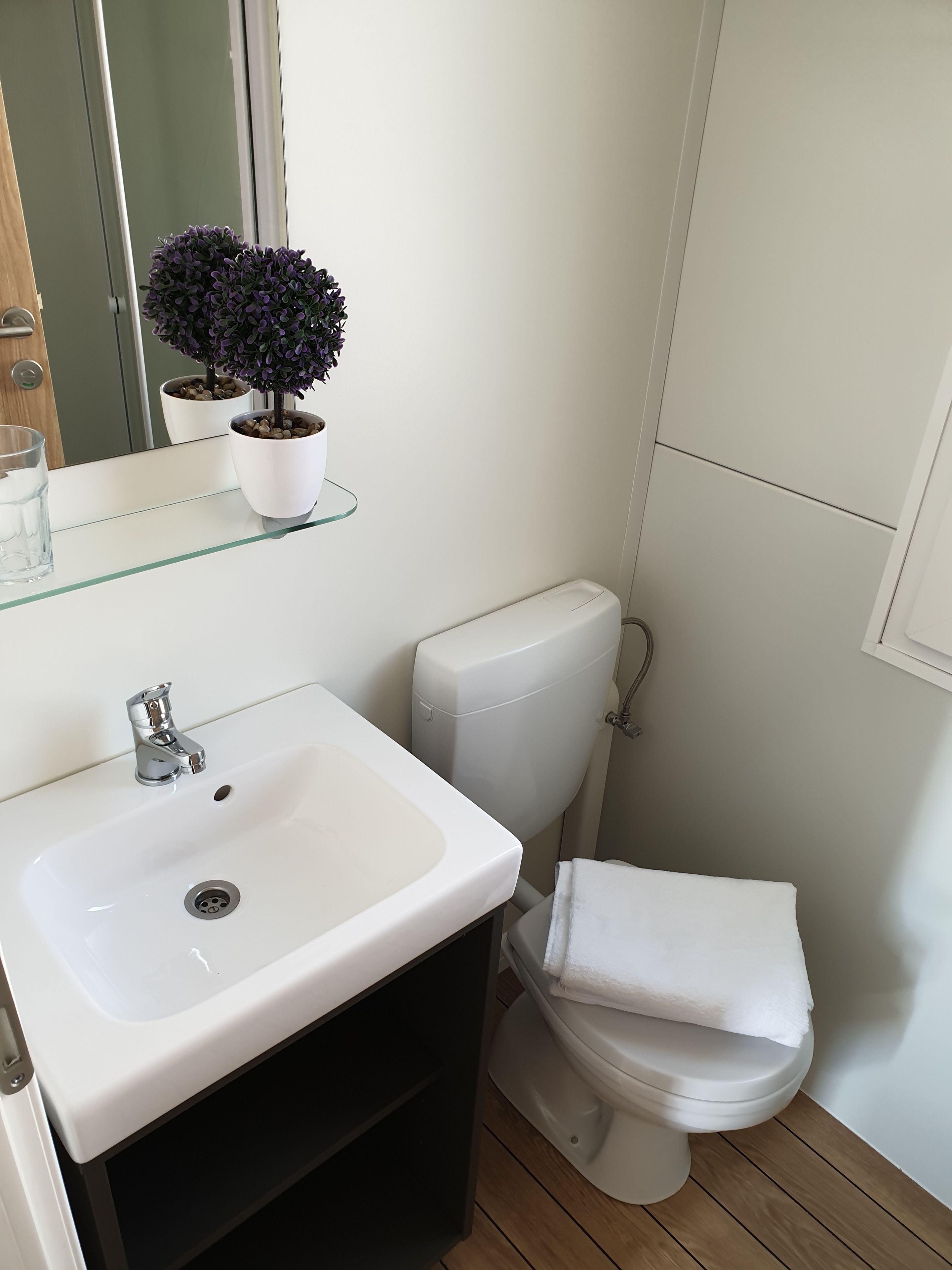 Une salle de bain avec un lavabo blanc, des toilettes et une petite plante en pot posée sur une étagère.