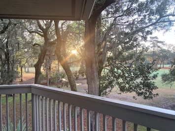Sunrise Through The Live Oaks At The "Tree House"