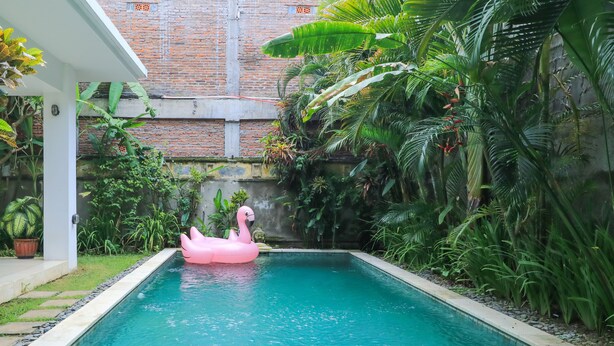 Una piscina con un flotador de flamenco rosa, rodeada de vegetación exuberante y un muro de ladrillo al fondo.