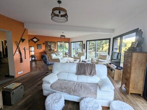 TV, video games, books, video library