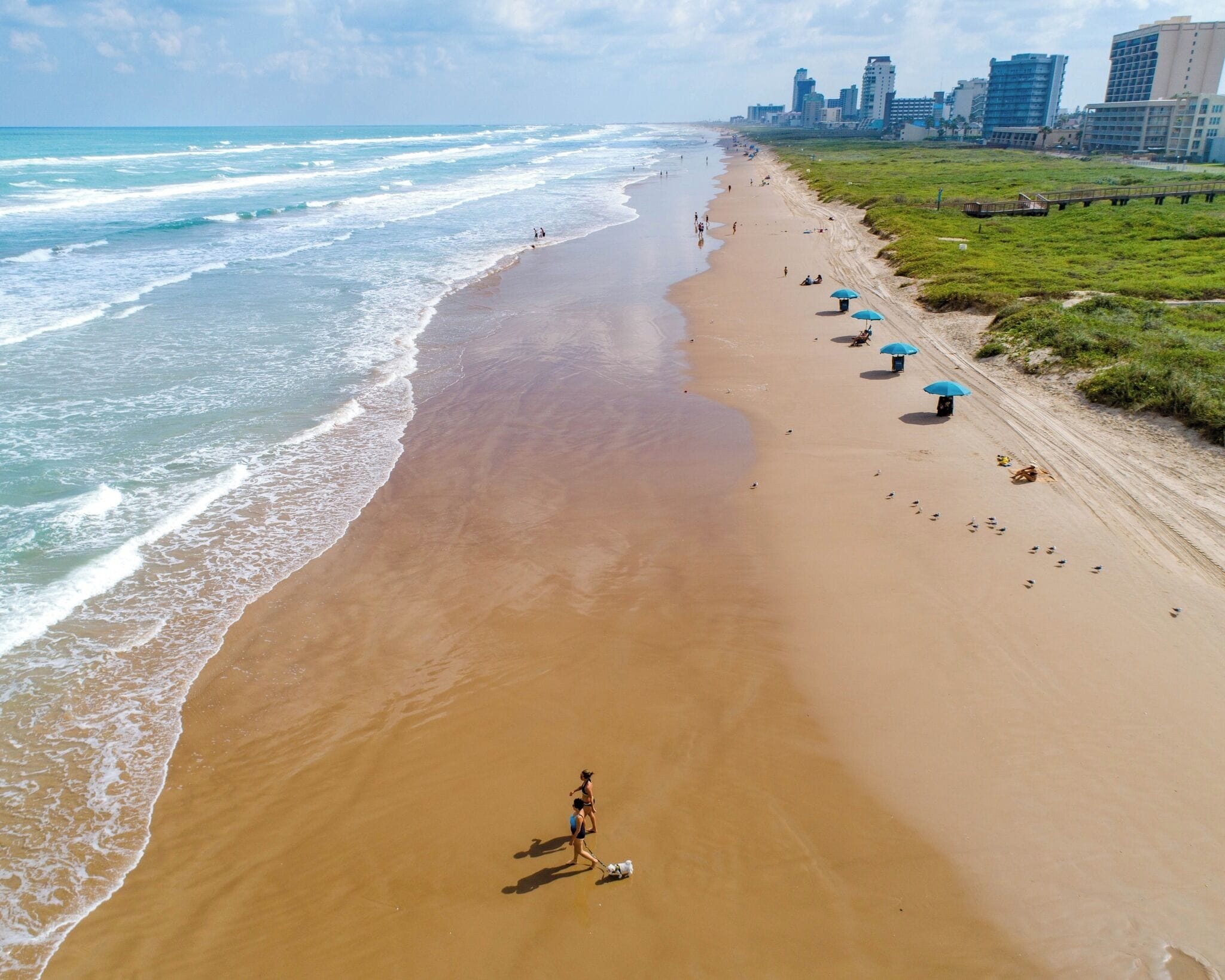 A beach with a long stretch of sand, a few umbrellas, and a city skyline in the background.